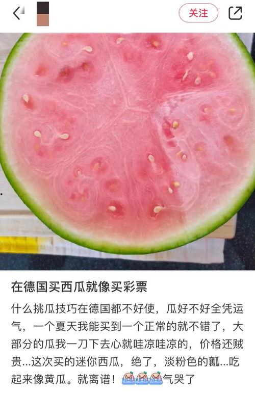 中国网友吃瓜,揭秘网络热点背后的故事