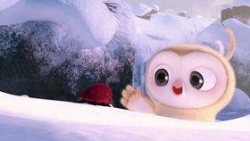 搞笑吃瓜直播视频下载,笑到肚子疼