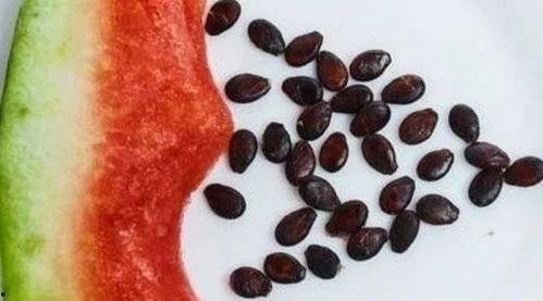 吃瓜怎么吐籽,吃瓜新体验