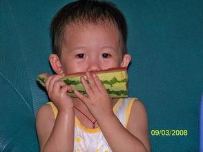 吃瓜楠楠本人,揭秘娱乐圈背后的故事