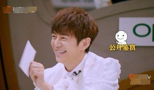 金靖吃瓜撒贝宁,揭秘娱乐圈幕后趣闻