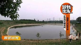 宜昌最新吃瓜,揭秘这座山水之城的热辣美食风云