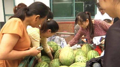 村里吃瓜奶奶,村里吃瓜奶奶的趣事连连