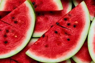 吃姑苏瓜上火吗,揭秘吃姑苏瓜是否会上火