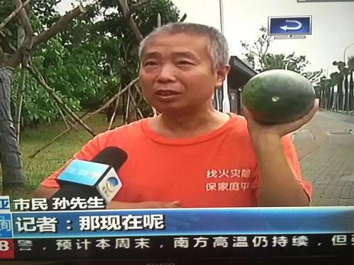 新闻吃瓜事件,真相与谣言的较量