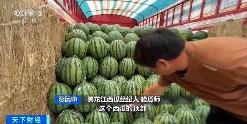 李庄吃瓜,揭秘娱乐圈幕后风云