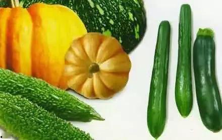 辩友2吃瓜,揭秘辩友2吃瓜背后的真相与争议