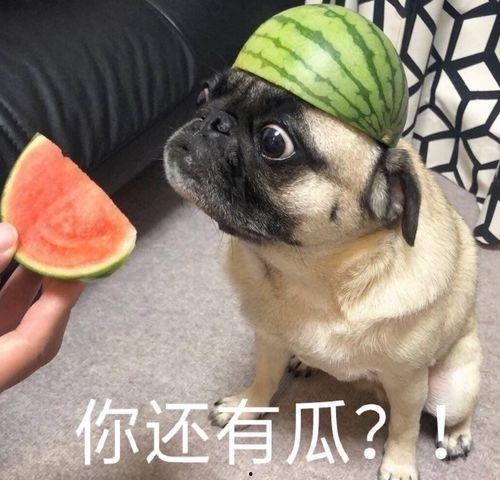 吃瓜式发言,吃瓜群众视角下的明星幕后故事