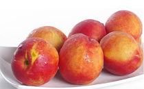 油桃吃瓜,探寻夏日果香盛宴