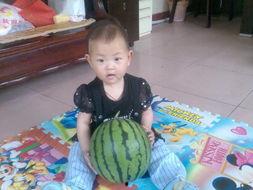 吃瓜听多了不好,吃瓜听多无益