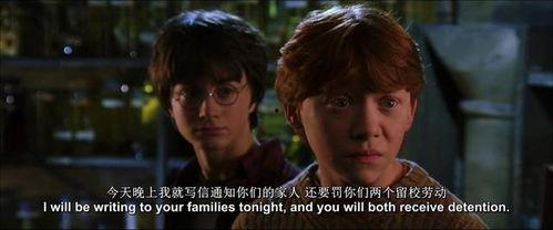 吃瓜人霍格沃茨