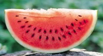 心系天下吃瓜视频,揭秘娱乐圈幕后故事