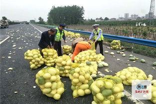 河南曹县吃瓜,河南曹县吃瓜文化探秘