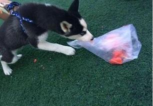 出来遛弯吃瓜,品味人间烟火——遛弯吃瓜的市井生活