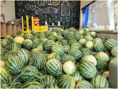 赵麻麻吃瓜全部,揭秘娱乐圈幕后故事