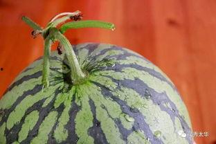 卖瓜吃瓜的大姐