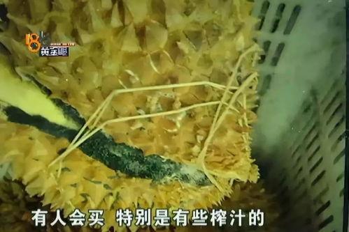 吃烂了哈密瓜,尽享甜蜜滋味，回味无穷