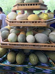 吃瓜观体育,揭秘赛场背后的趣味故事