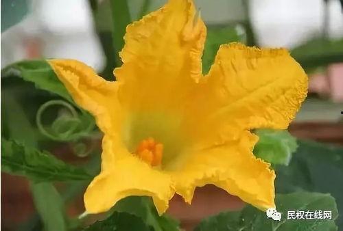 闪闪发光的你吃瓜,明星幕后故事大公开！