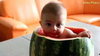 臭宝吃瓜了吗,臭宝吃瓜了吗？揭秘娱乐圈最新热点事件