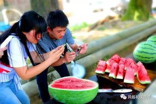 梦到去地里摘瓜吃瓜,摘瓜吃瓜的田园幻想之旅