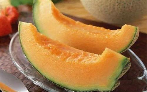 石金钱吃哈密瓜,一场甜蜜的跨界之旅