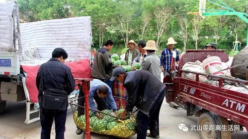 雄县世纪城吃瓜