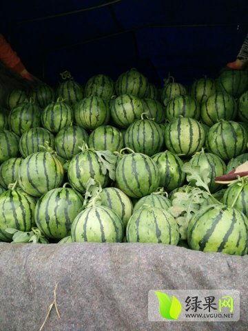 孝义最近吃瓜新闻,最新吃瓜新闻大盘点