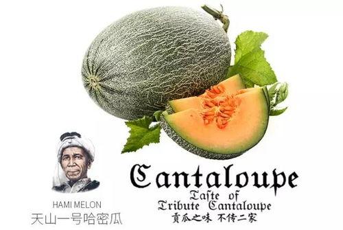 张九吃瓜群众号