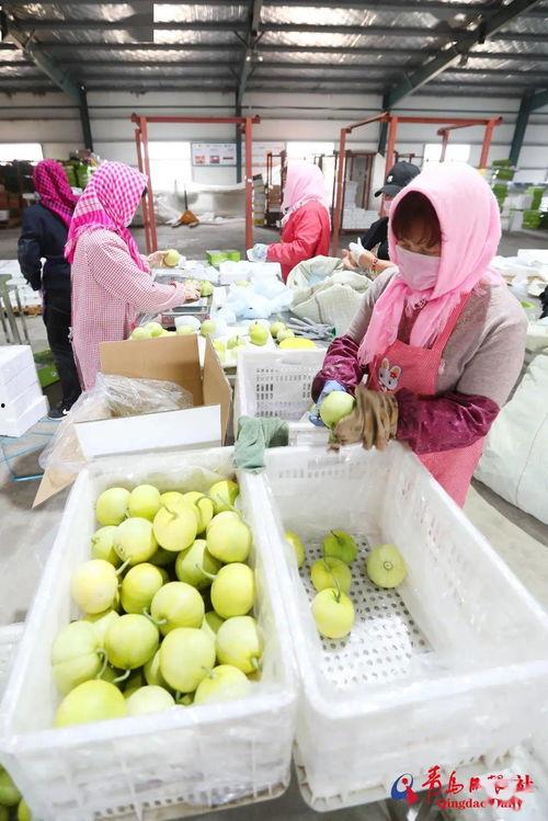 带货直播吃瓜,揭秘网红经济背后的趣味与争议