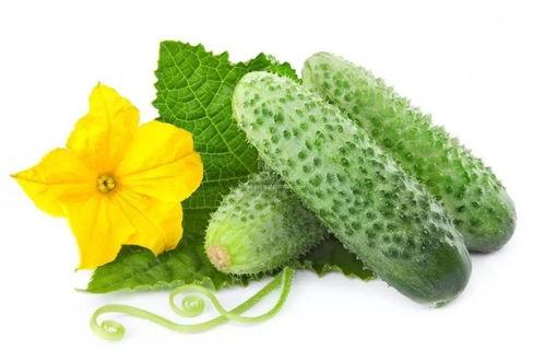 温妍吃瓜系统,揭秘娱乐圈幕后真相，带你领略明星生活