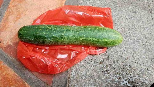 啥时候才可以吃瓜,何时才能安心吃瓜，揭秘娱乐圈幕后真相