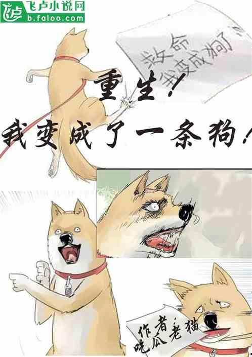 吃瓜全家小说,揭秘娱乐圈背后的秘密生活