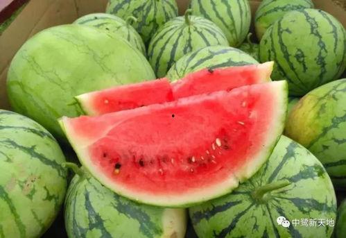 吃瓜快速素材,吃瓜群众眼中的明星幕后故事