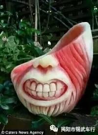 吃瓜不流口水视频,揭秘视频中的趣味与智慧