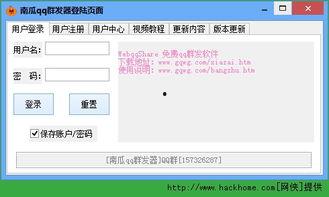 吃瓜软件群QQ,社交新宠背后的故事