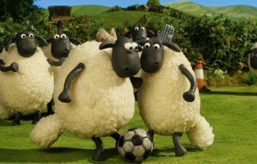 小羊肖恩吃瓜,小羊肖恩的夏日瓜趣之旅