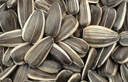 产后可以吃葵瓜,葵瓜助力妈妈健康恢复