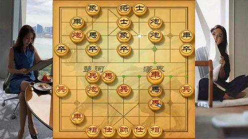 吃瓜直播象棋,象棋世界里的趣味对决