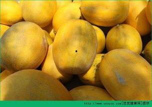 比如吃哈密瓜,探寻新疆瓜果的鲜美滋味