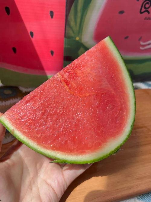 吃瓜1中,揭秘娱乐圈背后的秘密与真相