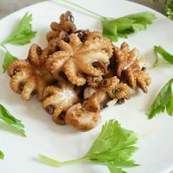 墨鱼吃瓜,一场与瓜果的奇幻邂逅