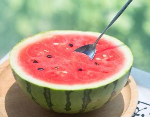 一种西瓜摘瓜吃瓜文案,西瓜摘食体验记