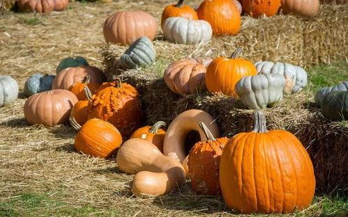 永登吃瓜群众,揭秘当地热点事件背后的故事