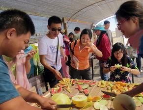 吃瓜club,网络时代的“瓜田”风云录