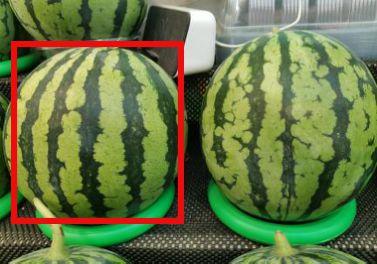 在线吃瓜热门,揭秘在线吃瓜背后的热点事件与现象