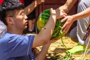 武生院吃瓜长椅