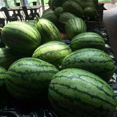 吃瓜18点,吃瓜18点，独家爆料来袭！