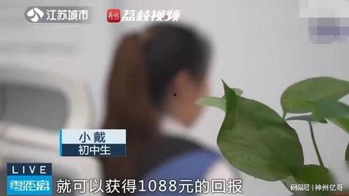 吃瓜群被骗视频,网络诈骗的惊悚真相