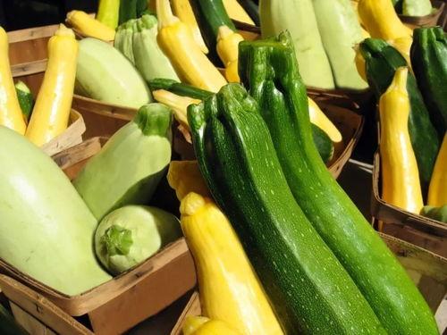 带你吃瓜的主页,揭秘带你吃瓜主页背后的故事与精彩瞬间